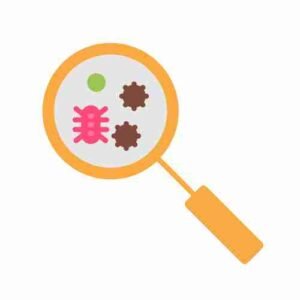 Pest Control Services in PECHS Karachi