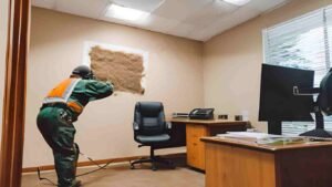 Termite control services in dha Karachi