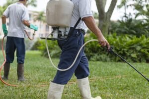 pest control and fumigation services in Karachi