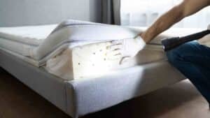 Bed Bugs Fumigation in Malir Cantonment Karachi: Comprehensive Solution for a Pest-Free Home 1 Bed Bugs Fumigation in Clifton Karachi: