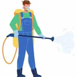 Pest Control Service in Gulshan e Iqbal Karachi