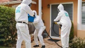 Pest Control Services in Karachi