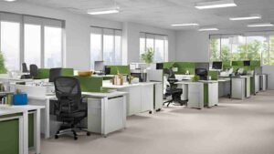 Pest Exterminator Near Me in Karachi