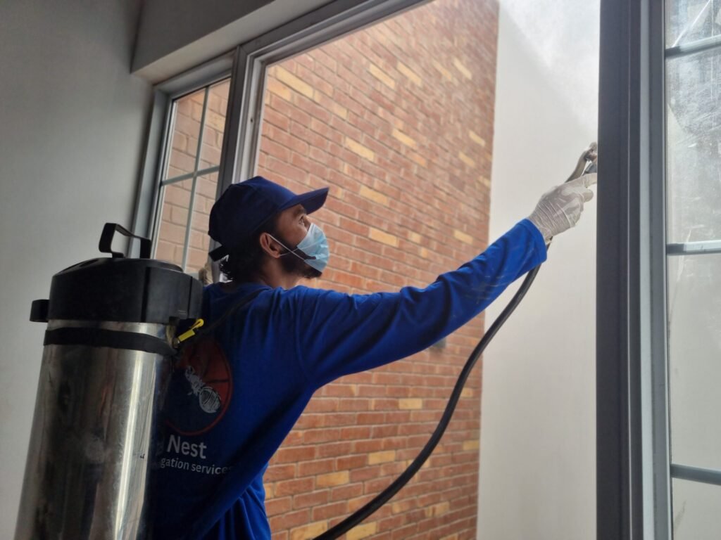 20241025 115257 scaled 1