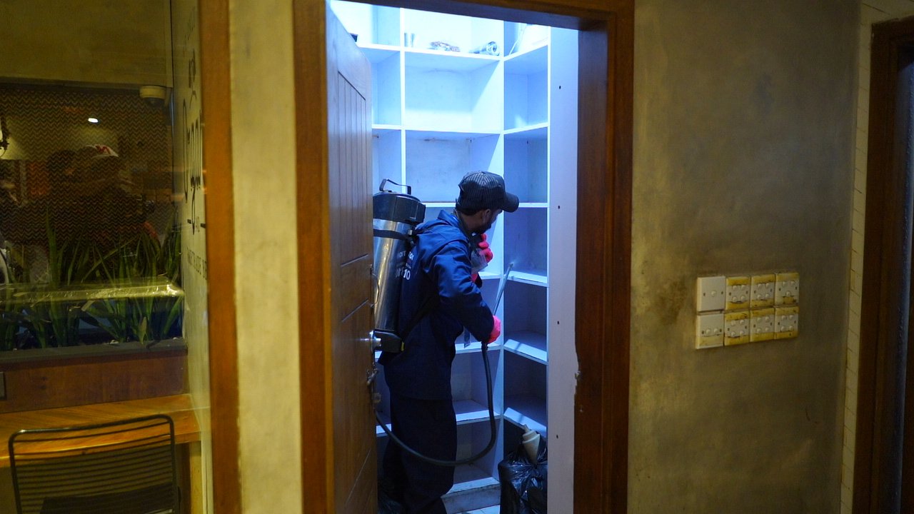 cockroaches-treatment