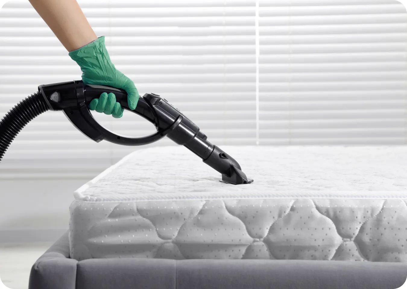 Mattress Cleaning