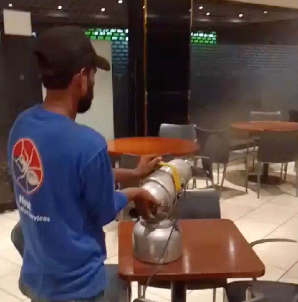 WhatsApp Image 2025 06 27 at 21.34.40 a2877ad0 1012x1024 1